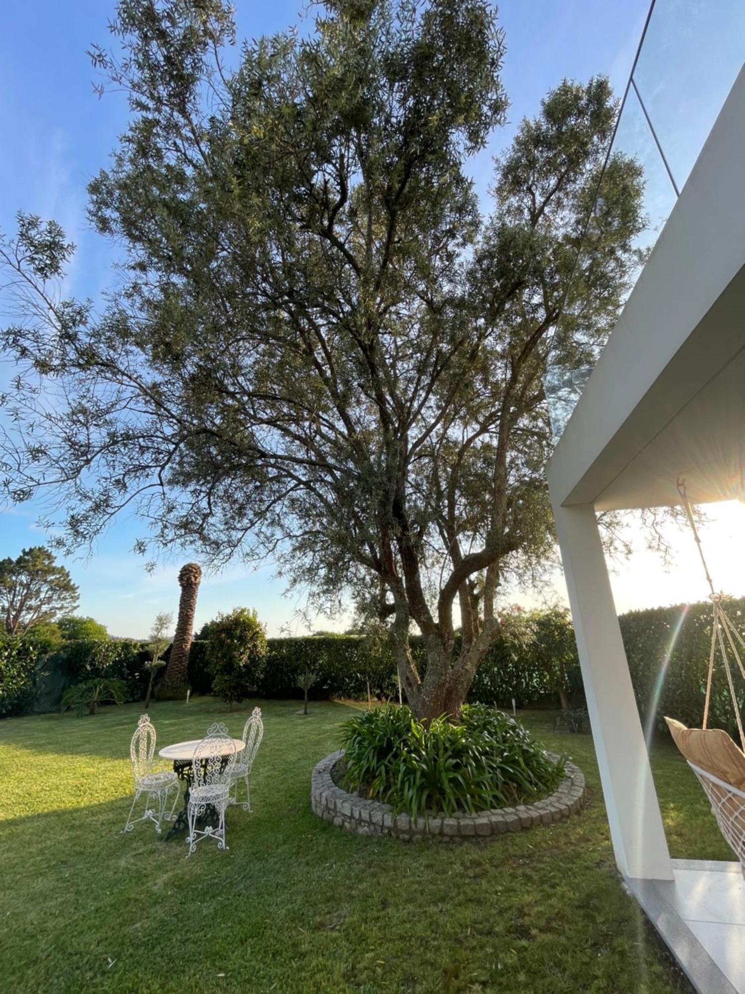 אפיפה Fonte Do Forno Villas מראה חיצוני תמונה
